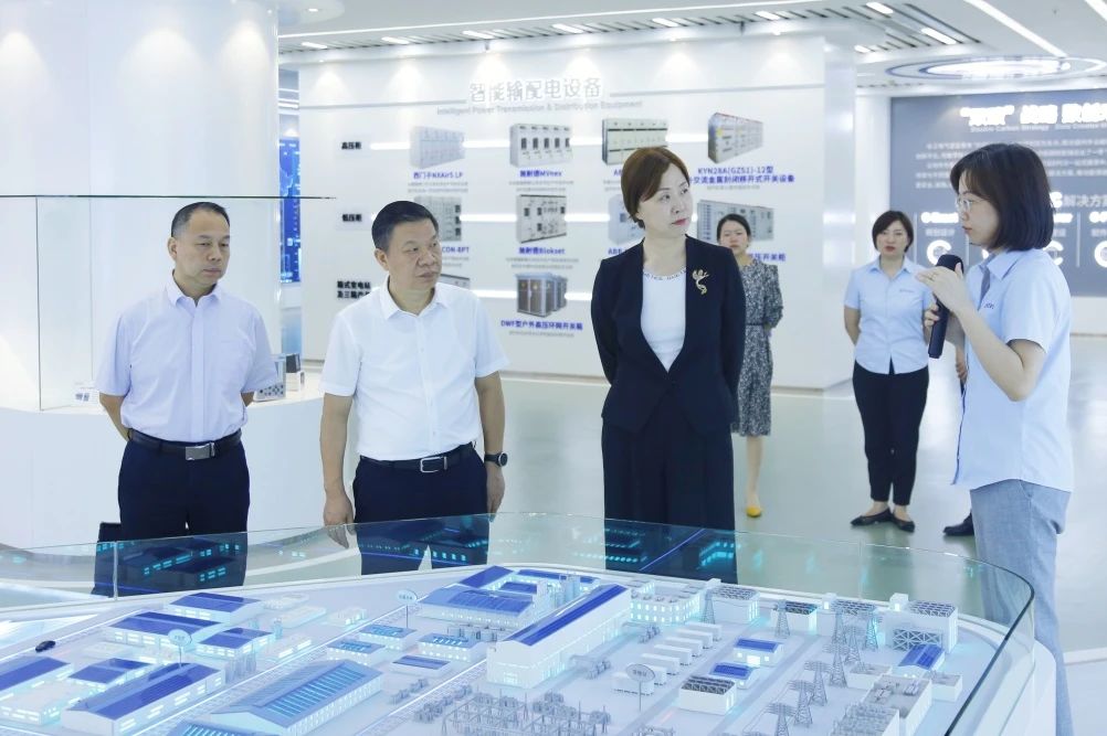 湖北省工商联主席、省总商会会长党蓁走访调研长江电气