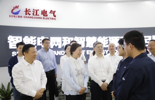 湖北省人社厅党组书记、厅长李述永一行调研长江电气高质量就业工作